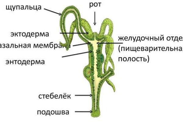 Взломали кракен аунтификатор