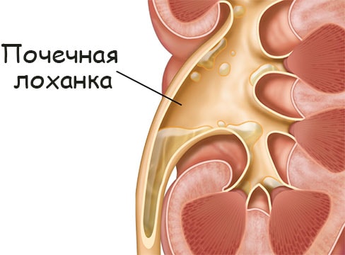 Кракен как войти через тор